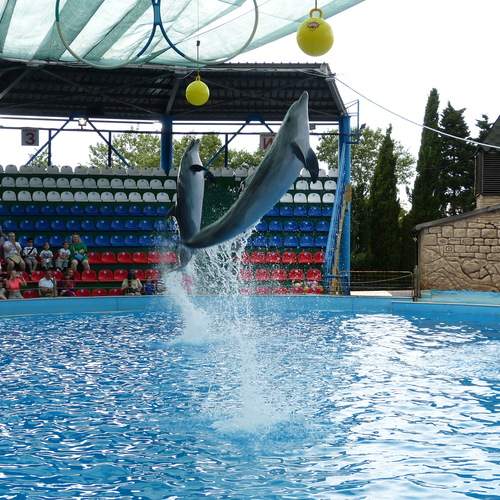 Photo #13472092
