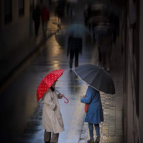 Photo #13472318