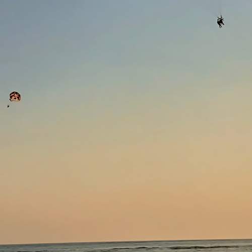 Photo #13472602