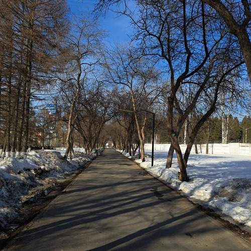 Photo #13472670