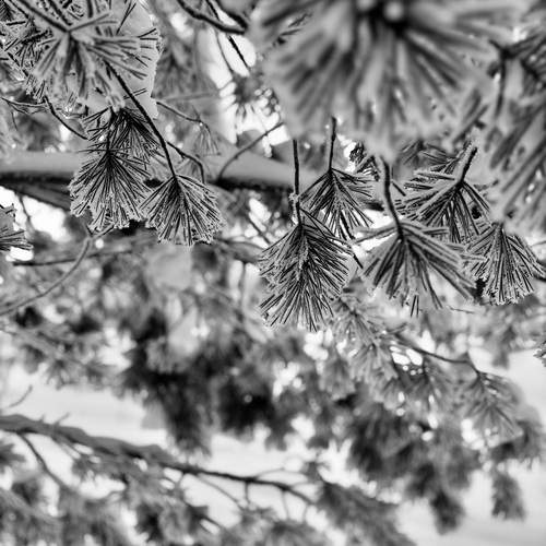 Photo #13472747