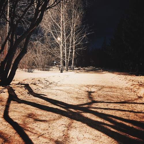 Photo #13472792