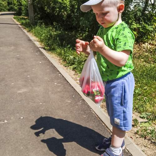 Photo #13472874