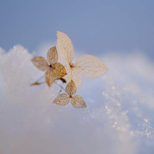 Photo #13472922