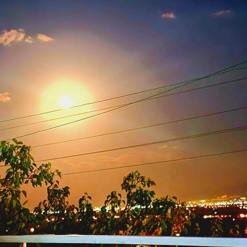 Photo #13472975