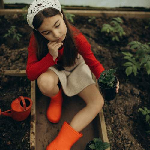 Photo #13473238