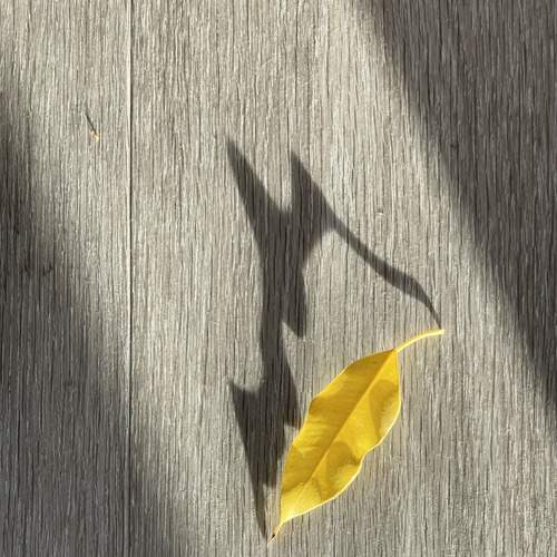 Photo #13473308