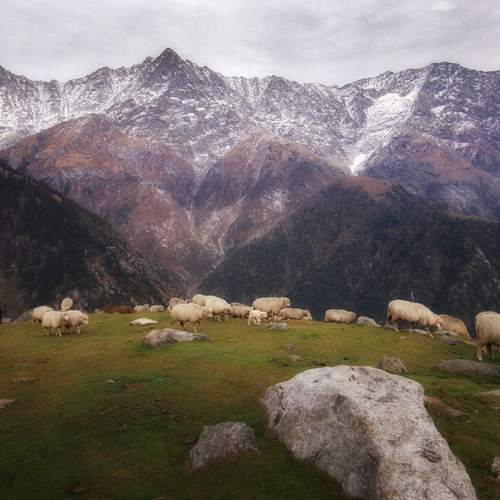 Photo #13473383