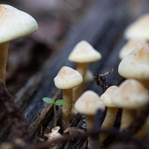 Photo #13473394