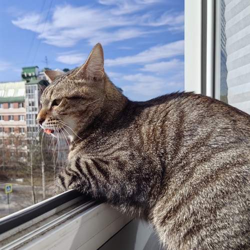Photo #13473456