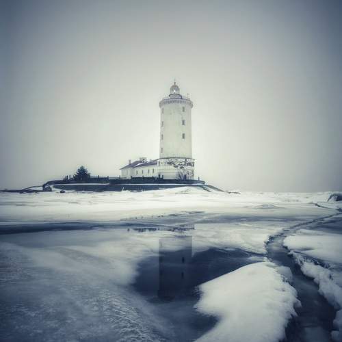 Photo #13473489