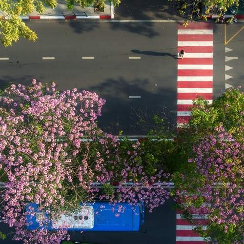 Photo #13473759