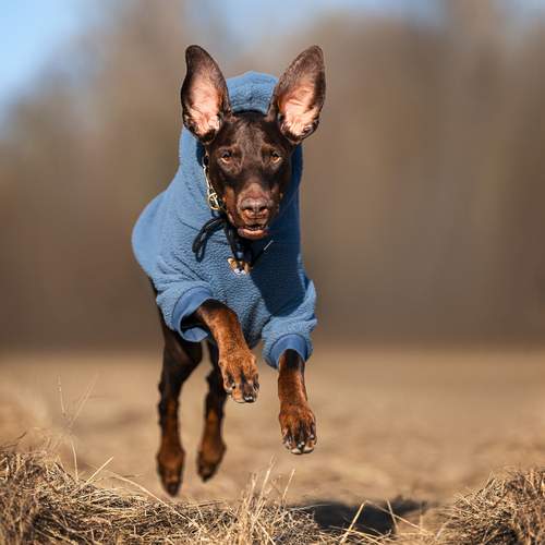 Photo #13473789