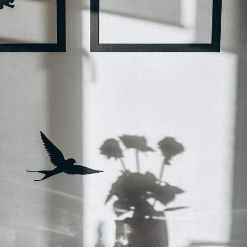 Photo #13473909