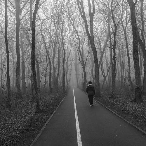 Photo #13474094