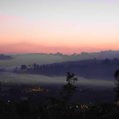 Photo #13474124