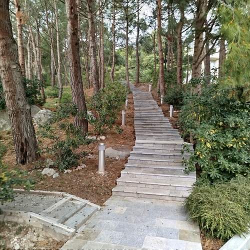 Photo #13474181