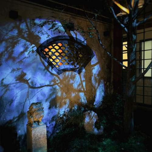 Photo #13474291
