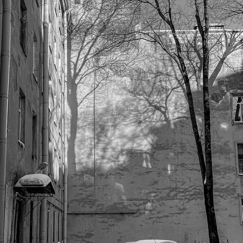 Фотография #13474897