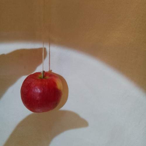 Photo #13474976