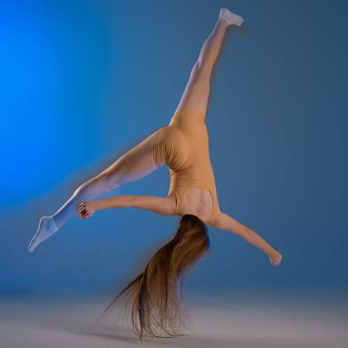 Photo #13475155