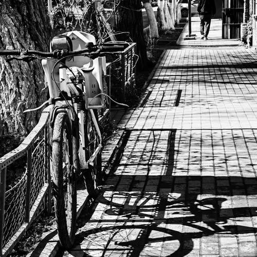 Photo #13475239