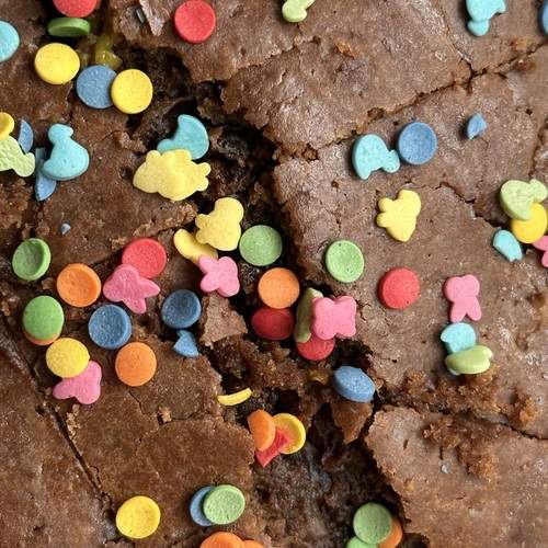 Photo #13475347