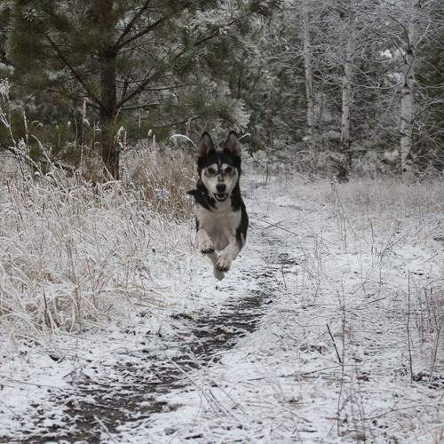 Photo #13475392