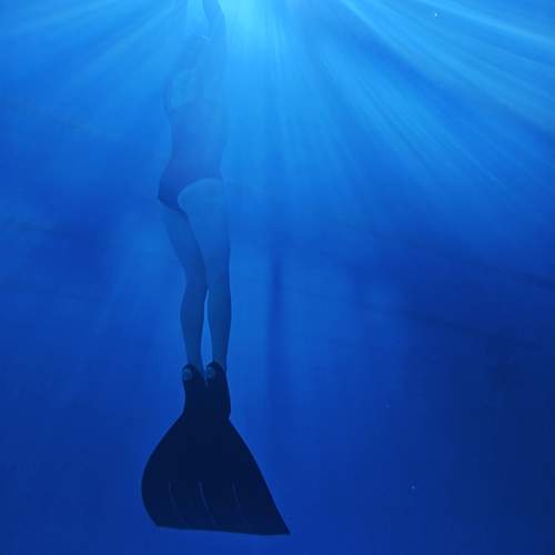 Photo #13475409