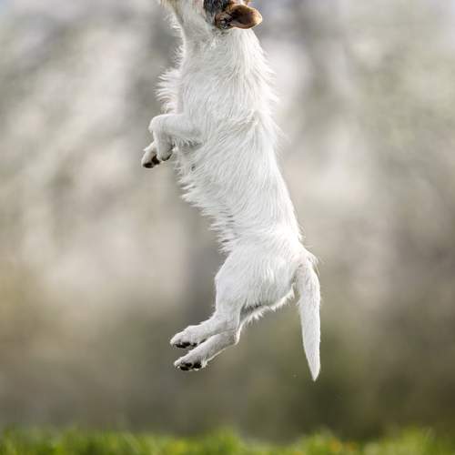 Photo #13475551