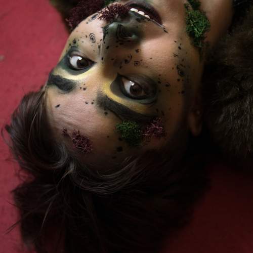 Photo #13475711