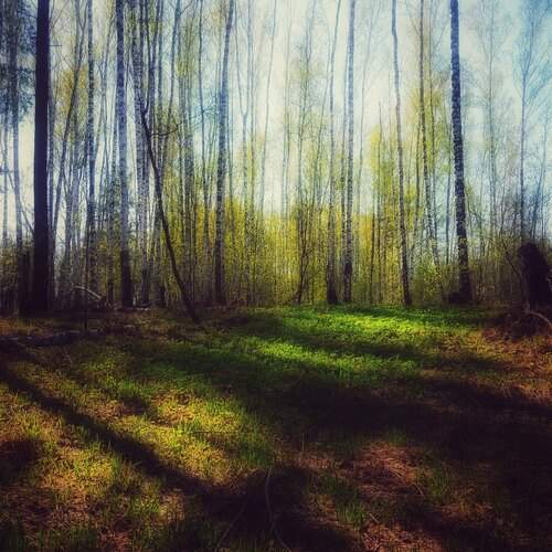 Photo #13475826