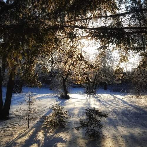 Photo #13475827