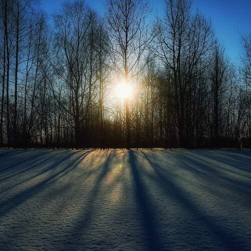 Photo #13475828