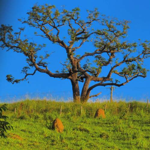 Photo #13475877