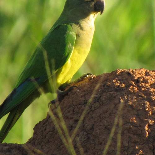 Photo #13475881