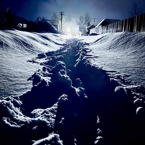 Photo #13475899