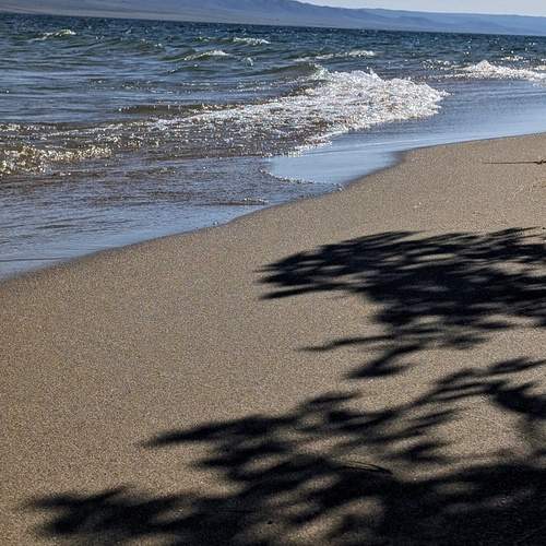 Photo #13475955