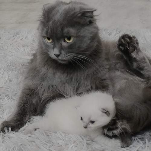 Photo #13476111