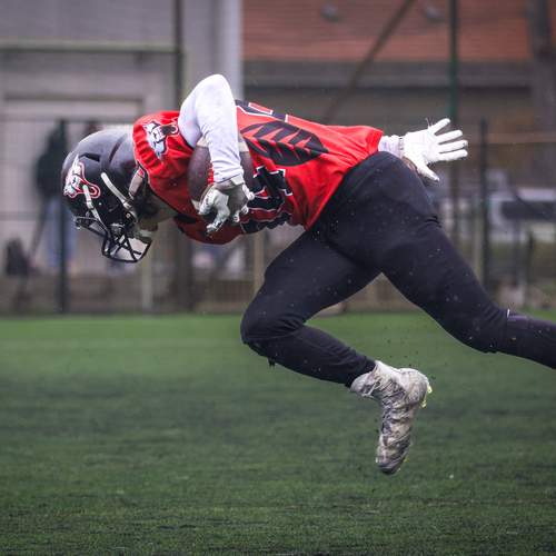 Photo #13476112