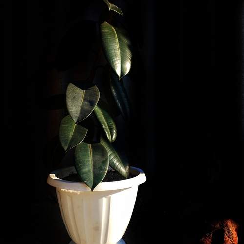 Фотография #13476170