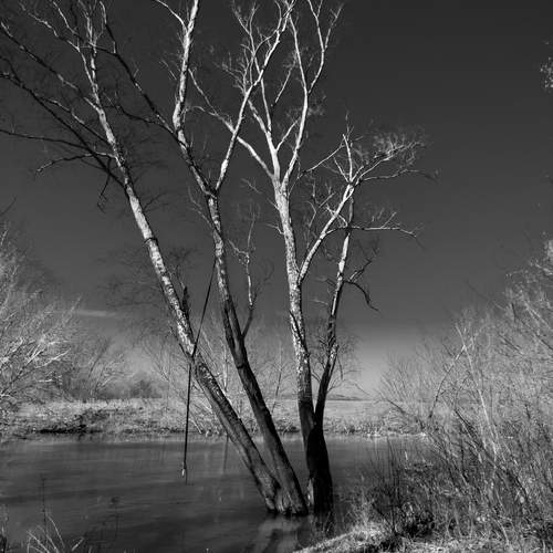 Фотография #13476176