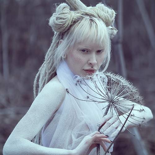 Photo #13476210