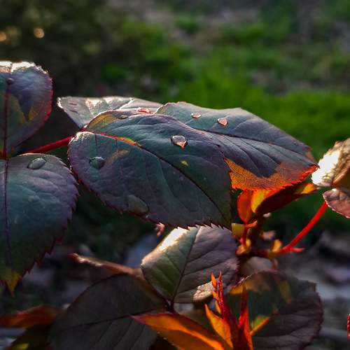 Photo #13476326
