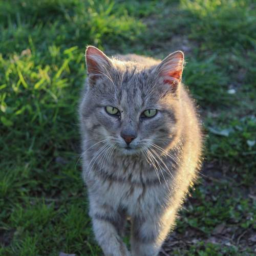 Photo #13476327