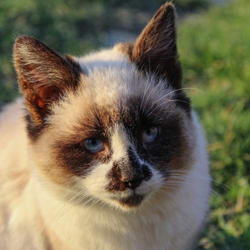 Photo #13476334