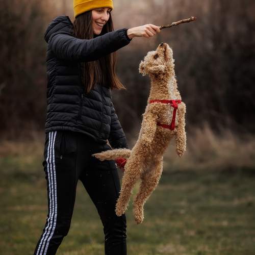 Photo #13476374