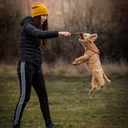 Photo #13476375