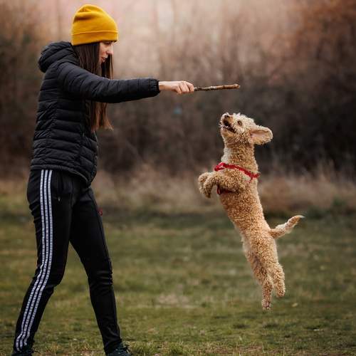 Photo #13476376