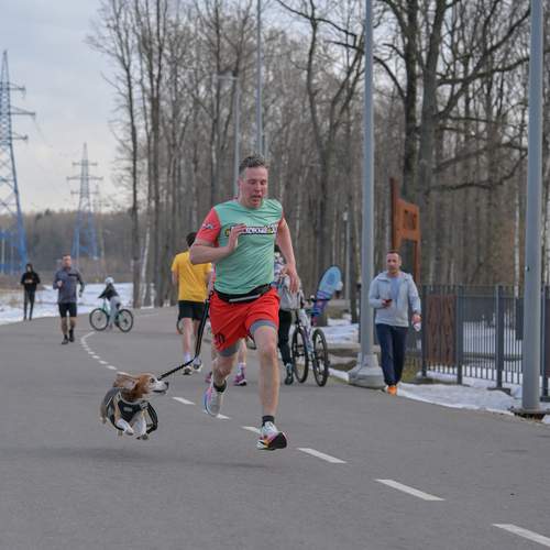 Photo #13476612